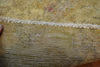 8' 8" x 12' 7" Pakistan Vintage Rug image 12