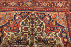 3'4'' x 5'0'' Persian Bijar Rug