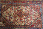 3'6'' x 5'4'' Persian Jozan Rug