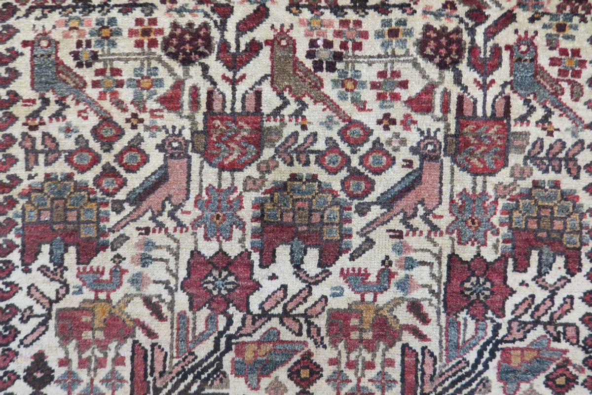 4'3'' x 6'8'' Persian Ardabil Rug