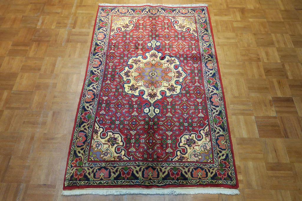 3'3'' x 5'0'' Persian Zanjan Rug