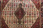 3'7'' x 5'1'' Persian Jozan Rug