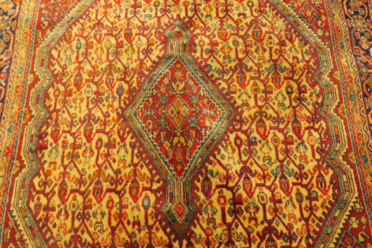 3'7'' x 5'5'' Persian Jozan Rug