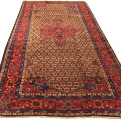 5' 3" x 10' 6" Persian Koliai Rug