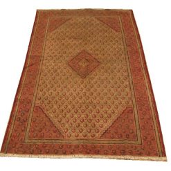 3' 8" x 6' 2" Persian Malayer Rug