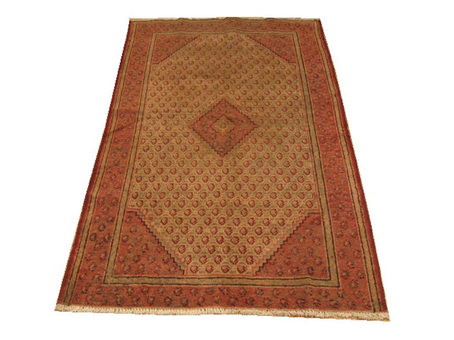 3' 8" x 6' 2" Persian Malayer Rug