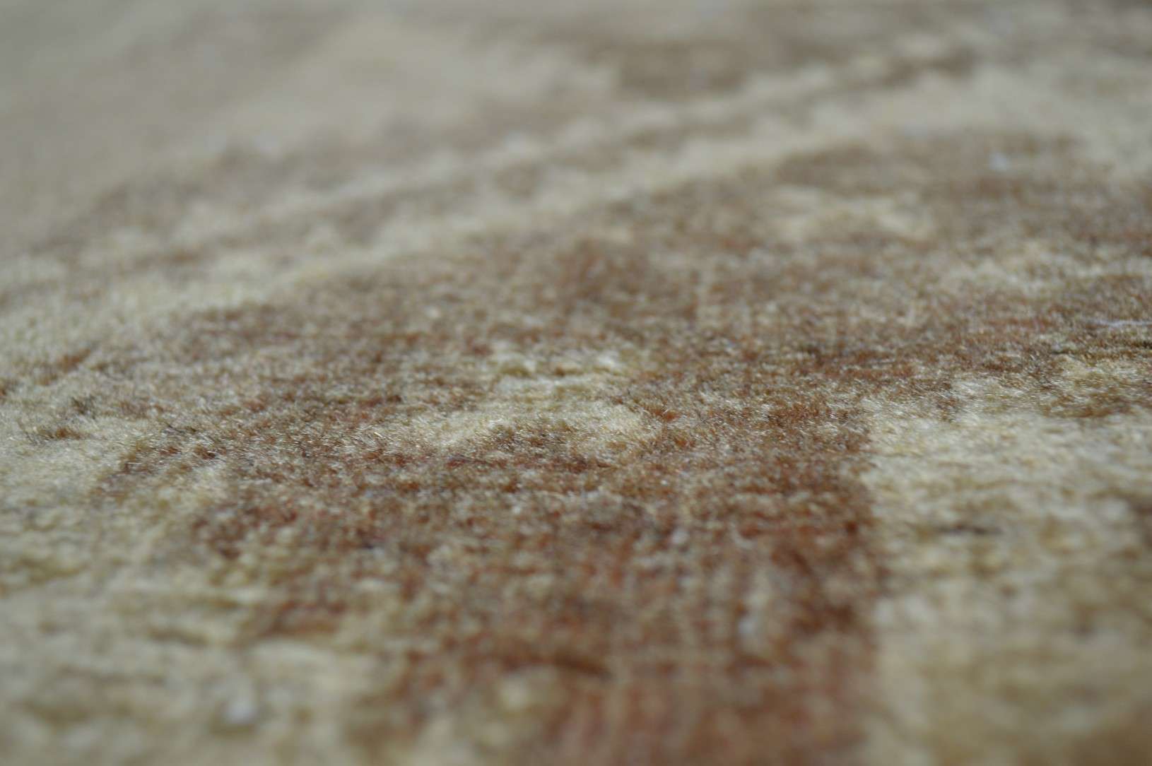 3' 3" x 6' 3" Afghanistan Belouch Rug - Image 3